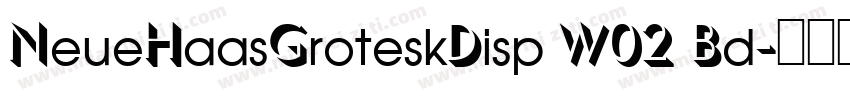 NeueHaasGroteskDisp W02 Bd字体转换